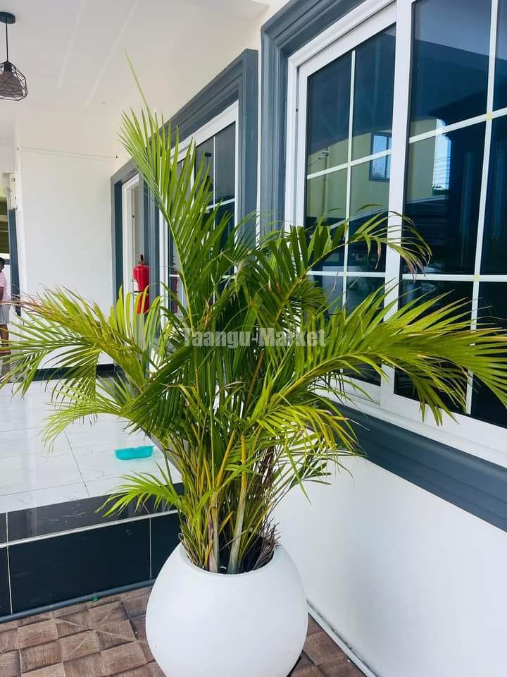 Newly built 3 bedroom’s house for sale